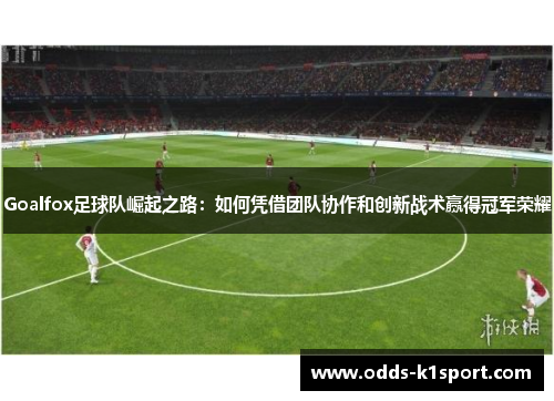 Goalfox足球队崛起之路：如何凭借团队协作和创新战术赢得冠军荣耀