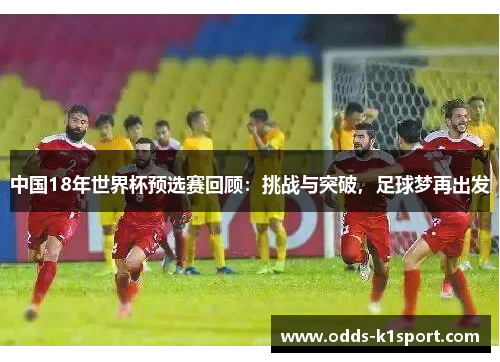 中国18年世界杯预选赛回顾：挑战与突破，足球梦再出发