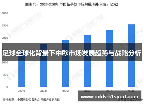 足球全球化背景下中欧市场发展趋势与战略分析