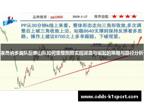 莱昂纳多离队后泰山队如何重整旗鼓实现逆袭与崛起的策略与路径分析